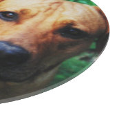 Planche À Découper Verre photo personnalisé (Coin)