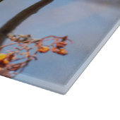 Planche À Découper Verrerie bohémienne, Faune Photographie Aviaire (Coin)