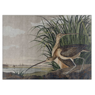 Planche À Découper Vintage Audubon Courlis à long bec Art ornithologi