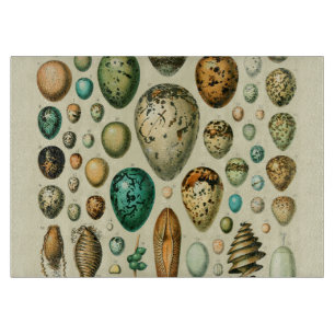 Planche À Découper Vintage Bird Eggs French Fish Egg