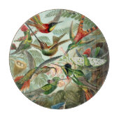 Planche À Découper Vintage Ernst Haeckel Hummingbirds (Devant)