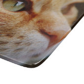Planche À Découper Visage déterminé d'un chat de gingembre (Coin)
