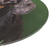 Planche À Découper Vue de Dachshund couleur panaché (Coin)