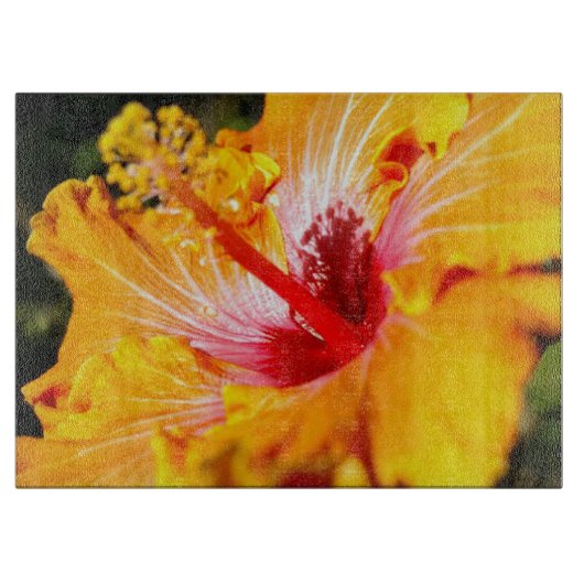 Planche À Découper Vue latérale de l'Hibiscus orange (Devant)