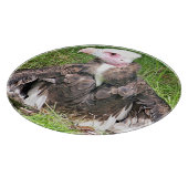 PLANCHE À DÉCOUPER VULTURE (Coin)