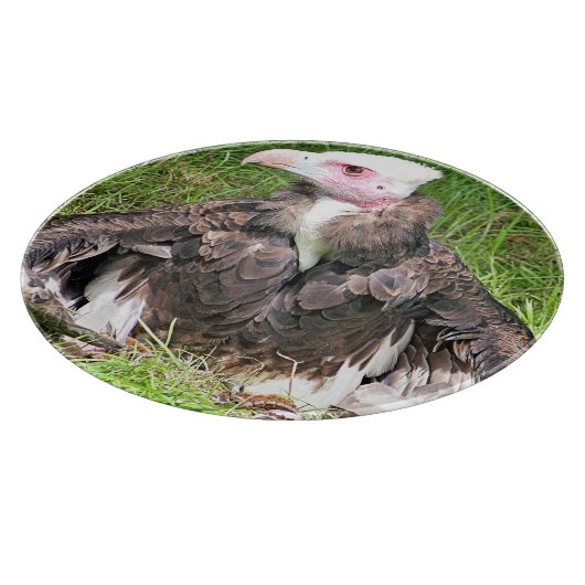 PLANCHE À DÉCOUPER VULTURE (Coin)