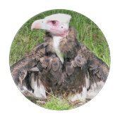 PLANCHE À DÉCOUPER VULTURE (Devant)