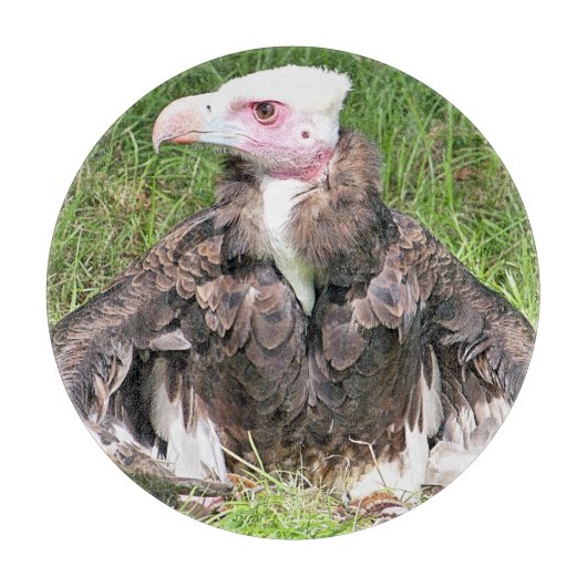 PLANCHE À DÉCOUPER VULTURE (Devant)