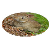 Planche À Découper WA, Redmond, lapin bébé de l'est (Coin)