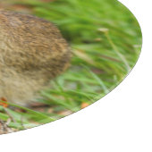 Planche À Découper WA, Redmond, lapin bébé de l'est (Coin)