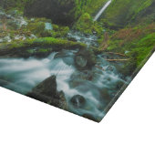 Planche À Découper Waterfalls | Grotto Falls, Oregon (Coin)