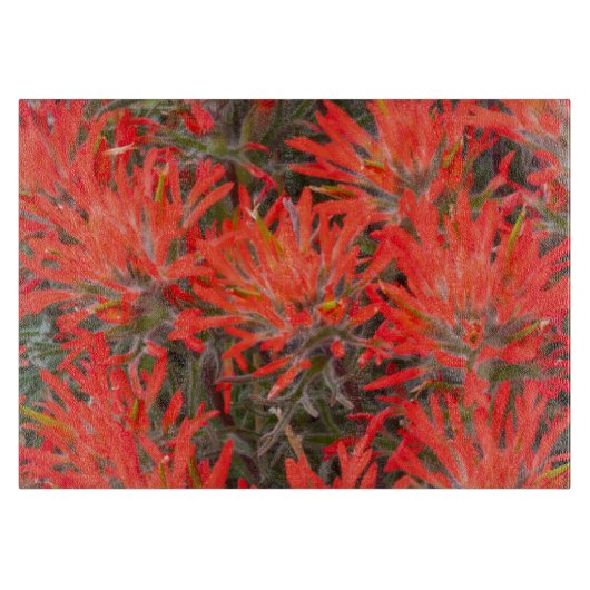 Planche À Découper Wyoming, comté de Lincoln, Desert Paintbrush (Devant)