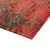 Planche À Découper Wyoming, comté de Lincoln, Desert Paintbrush (Coin)