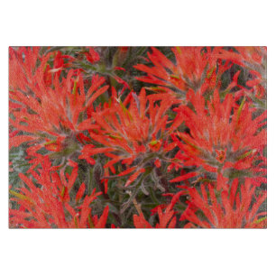 Planche À Découper Wyoming, Lincoln County, Desert Paintbrush