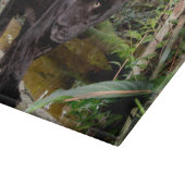 Planche À Découper Zoo de Belize City. Panthère noire (Coin)