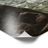 Planche à voile - impression photo (Coin)