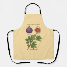 Planche Botanique Figue Ficus Carica Schort