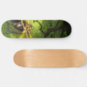 Planche De Skateboard Elf (Horz)