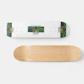 Planche de skateboard GUMBAE LOLIPOP 7 3/4" (Horz)