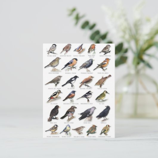 Planche oiseaux des jardins briefkaart (Staand voorkant)