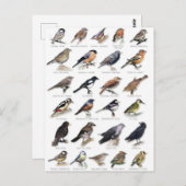 Planche oiseaux des jardins briefkaart (Voorkant / Achterkant)