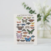 Planche papillon briefkaart (Staand voorkant)