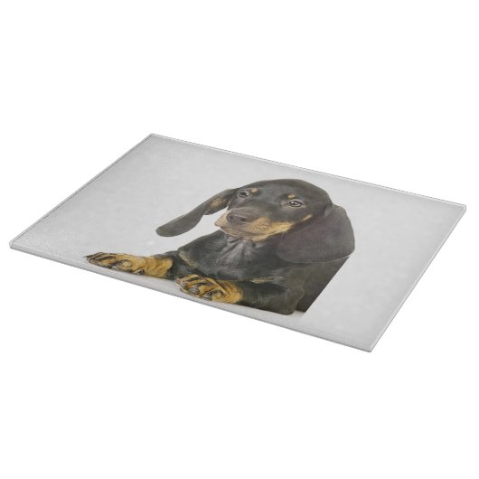 Planches à découper de conception de "teckel" (Coin)