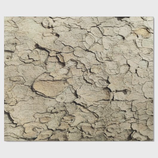 Plane tree camouflage looks bark pattern wrapping  cadeaupapier (Vlak)