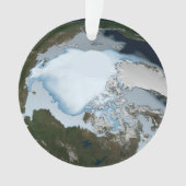 Planet Earth met Zee-ijsdekking in 1980. Ornament (voorkant)