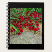 Planificateur (Devant)