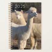 Planificateur 2025 - Alpacas Abby & Bailey (Devant)