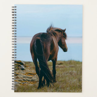 Planificateur à cheval pittoresque