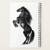 Planificateur à cheval sauvage noir dressé - Texte (Dos)