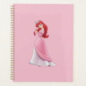 Planificateur Ariel (Devant)