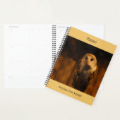 Planificateur Barn Owl (Devant avec enveloppe)