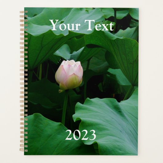 Planificateur bientôt en floraison (Devant)