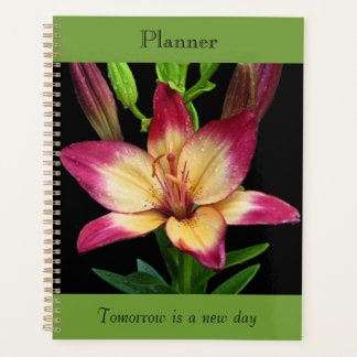 Planificateur Bold Lily