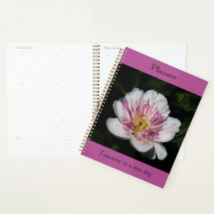Planificateur Bold Paeony