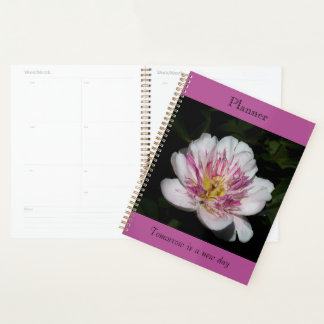 Planificateur Bold Paeony