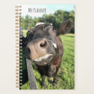 Planificateur "Boop" de vache
