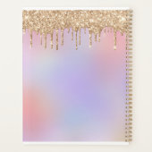 Planificateur budgétaire (Dos)