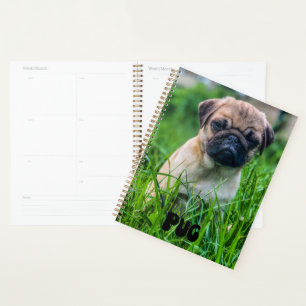 Planificateur Calendrier des chiots Carlins mignon