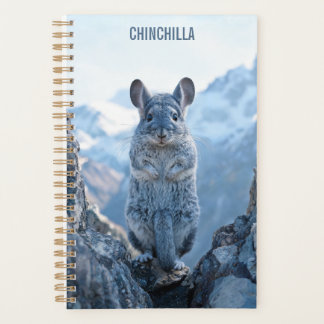 Planificateur Chinchilla 2027