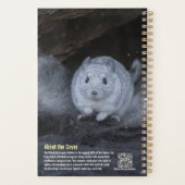 Planificateur Chinchilla 2027 (Dos)