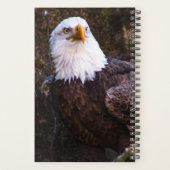 Planificateur d'aigle à tête blanche (Dos)