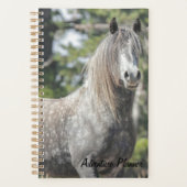 Planificateur d'aventure avec fantôme gris (Devant)