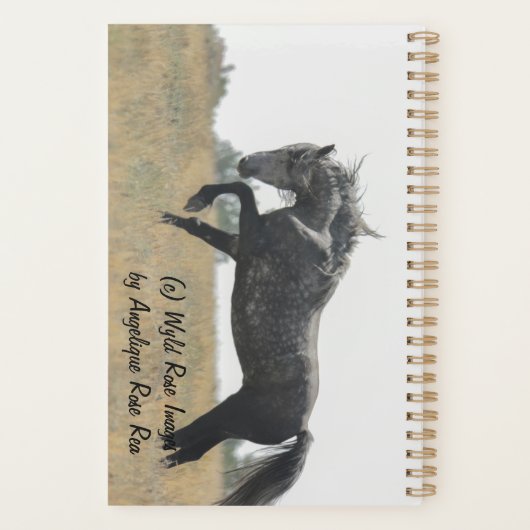 Planificateur d'aventure avec fantôme gris (Dos)