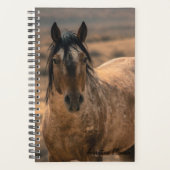 Planificateur d'aventure avec Sir Behr (Devant)