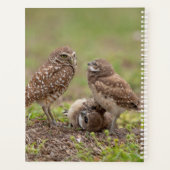 Planificateur de 2024 de la Chouette (Dos)