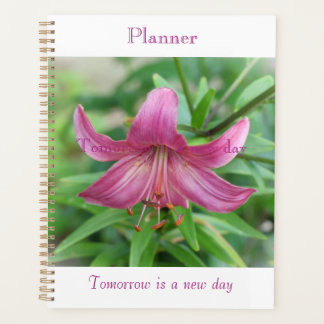 Planificateur de Beauté Rose